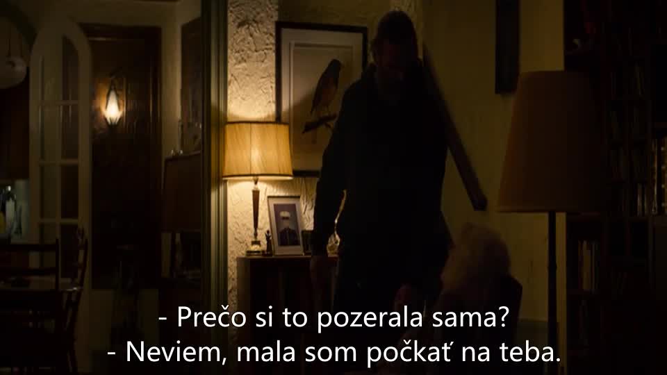 Nikdys nebyl (Joaquin Phoenix,Alessandro Nivola,Alex Manette 2017 Mysteriózní Krimi Thriller Drama Bdrip 1080p ) Cz+Sk titulky mp4