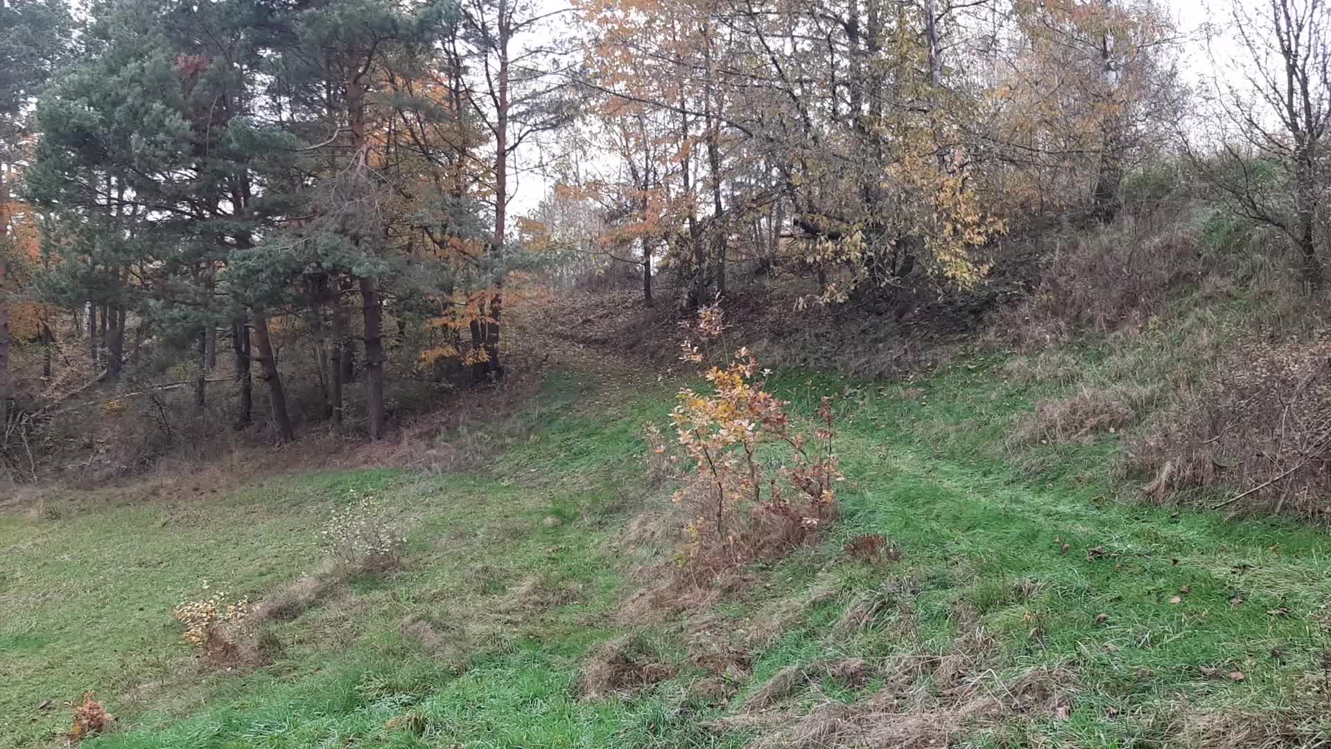 Prijezd Neděle 27 10 2024 mp4