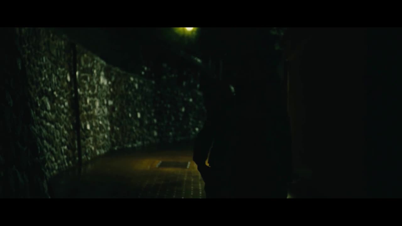 Neznámá identita (Tuva Novotny Arnaud Binard Jens Jørn Spottag 2011 Thriller Dráma HD 1080p ) Cz dabing avi