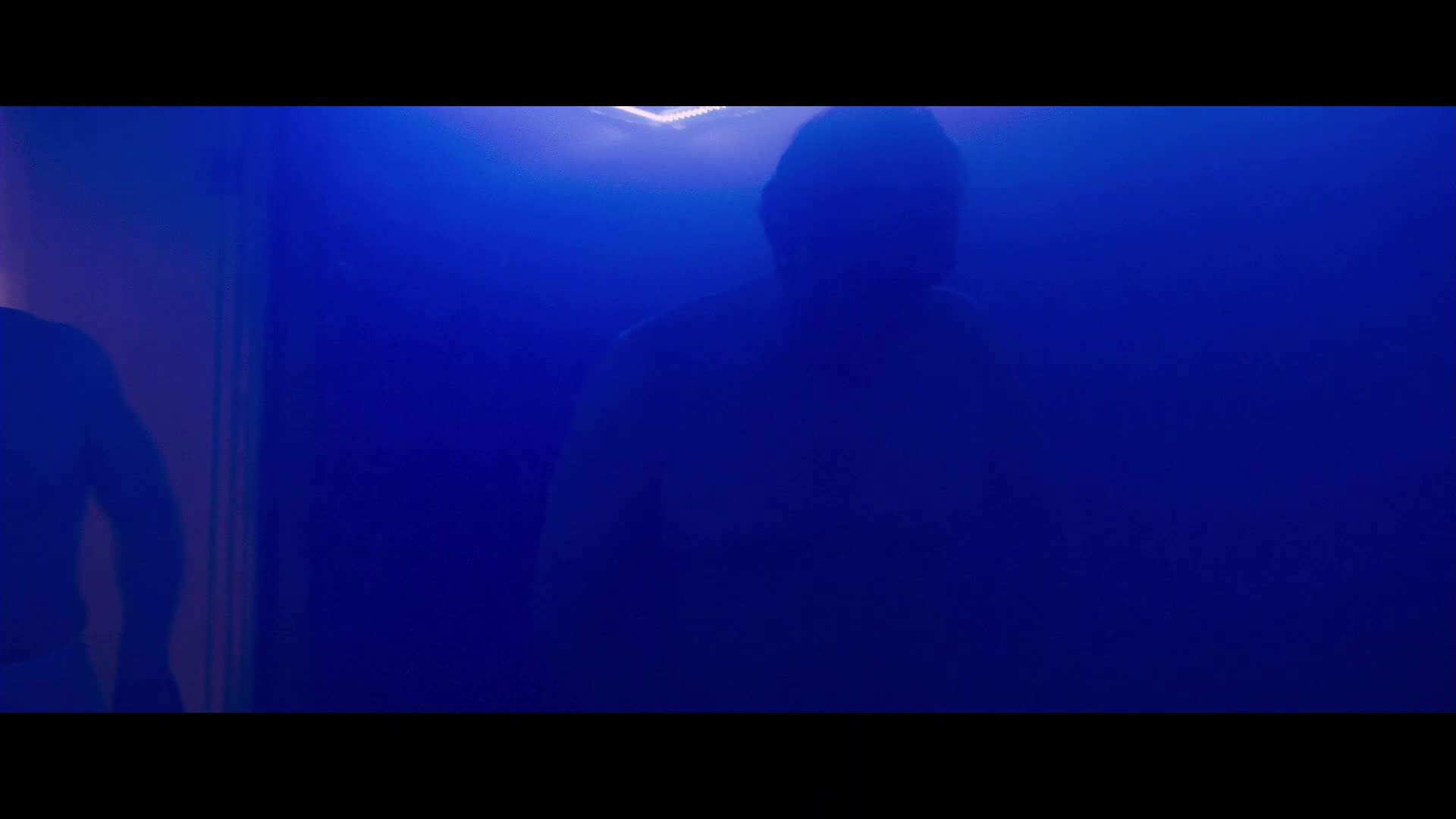 Chladnokrevny odkaz (Jean Reno, Sarah Lind, Joe Anderson 2019 Akční Thriller Dráma 1080p ) Sk dabing mkv