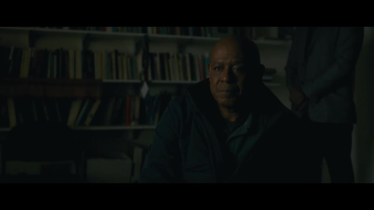 Příchozí (Amy Adams,Jeremy Renner,Forest Whitaker 2016 Drama Mysteriózní Sci Fi Thriller Bdrip 1080p ) Cz dabing avi