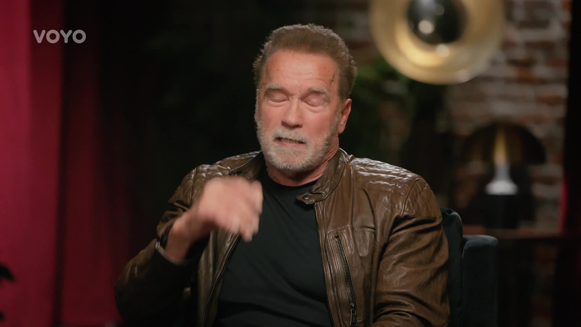 Arnold a Sly: Rivalové  přátelé  ikony 2024 DOCU CZ dabing HD 1080p mkv